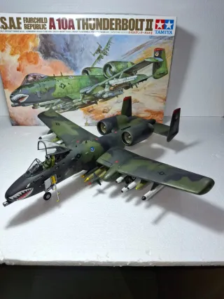 Pintor de Maquetas y dioramas y warhhamer