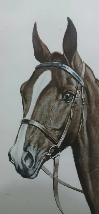 Cuadro. grabado de caballo de j. rivet