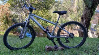 Bicicleta de montaña plateada