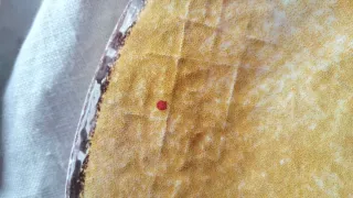 6 piatti frutta Materici Verde e Giallo Italy