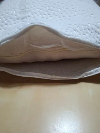 Almohada Aloe Vera