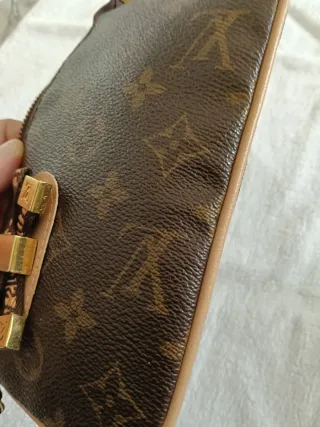 Cartera  Marrón y Dorada