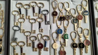 Lote 50 llaveros variados