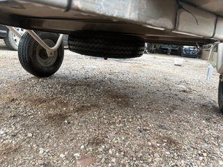 Remolque Carro para Perros Beige