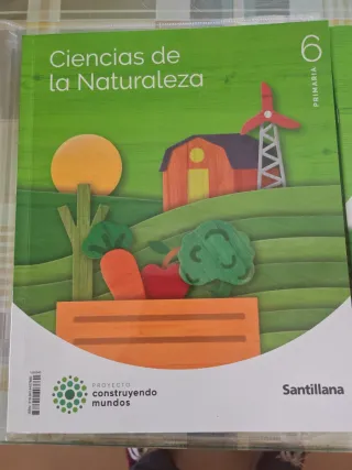 C. Naturales 6 primaria