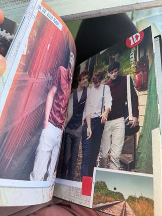 Libro One Direction