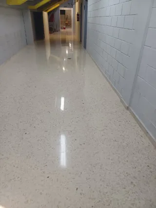 Pulido y abrillantado profesional