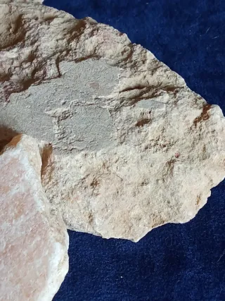 LOTE 2 FRAGMENTOS MARMOL ROMANO CANTERA COVACHO