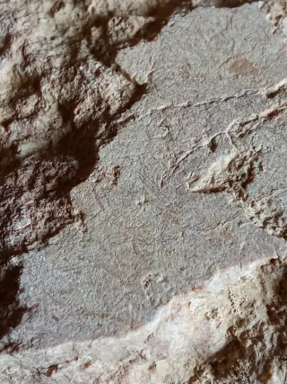 LOTE 2 FRAGMENTOS MARMOL ROMANO CANTERA COVACHO