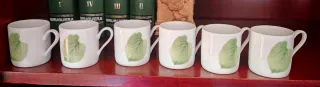 Juego 6 Tazas Porcelana Hoja Verde