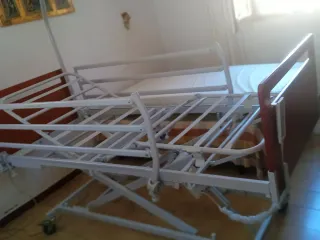 Cama articulada con brazos
