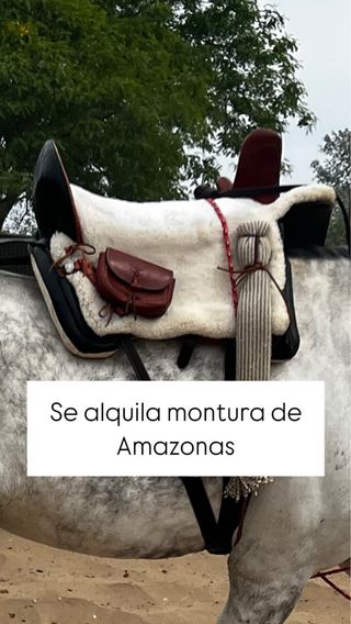 Alquilo montura de amazonas del cojo rosa