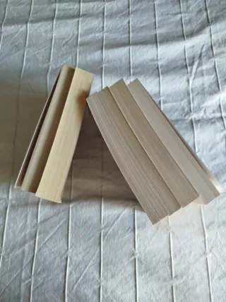 Novela 2x5€.El Arquitecto de los Cielos..