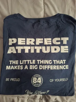 Lote 2 Camisetas Hombre XXL Tex y Silver