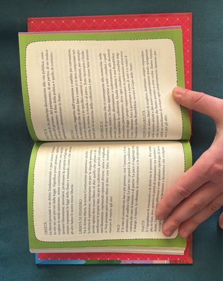 IL PICCOLO LIBRO DELLA COSTITUZIONE