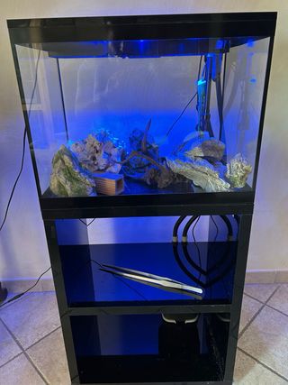 Acquario Askoll Pure Led L