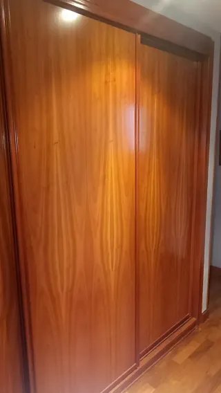 Puertas de armario de madera