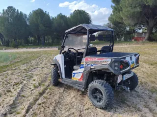Buggy Linhai T-BOSS 550 Off-road