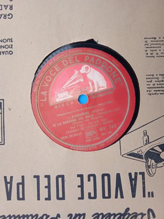 Synphonie  la voce del mulo  523