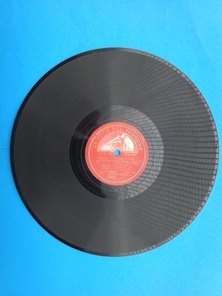 Synphonie  la voce del mulo  523
