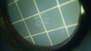 Filtro Partículas DPF Honda