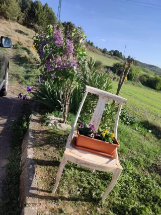 Silla Macetero Jardín Madera haya