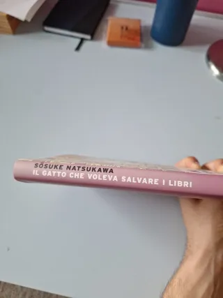 Il gatto che voleva salvare i libri