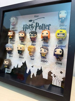 Quadro Harry Potter Funko Pop Pocket