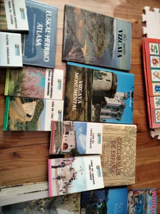 Lote libros varios