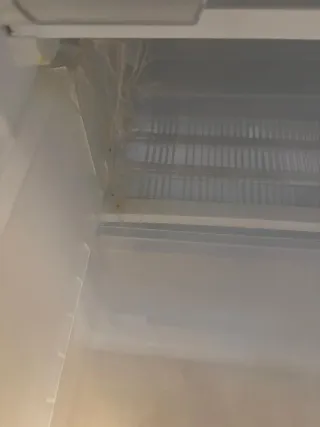 Congelatore verticale Artica