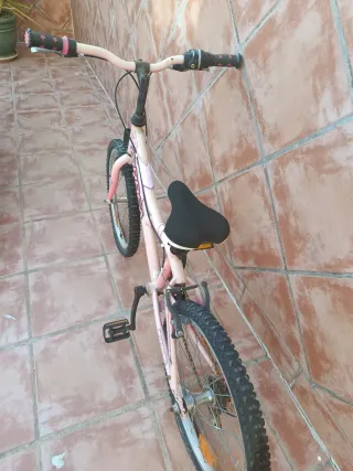 Bicicleta Orbea Rosa 20 Buen Estado