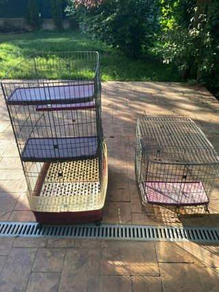 Jaula hurones, chinchillas, etc.