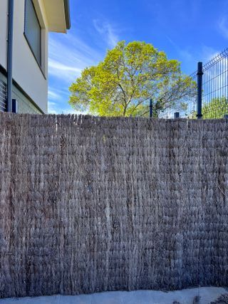 Brezo natural para ocultación 2m alto, grosor 4cm