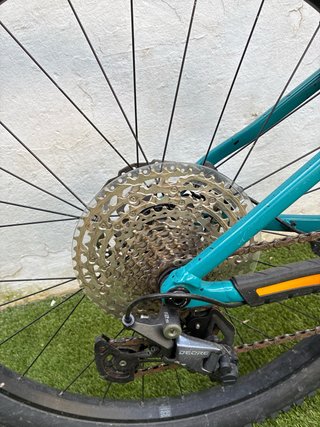 Trek Roscoe 7 talla XS