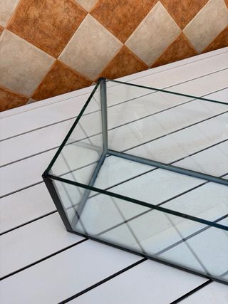 Pecera de cristal rectangular