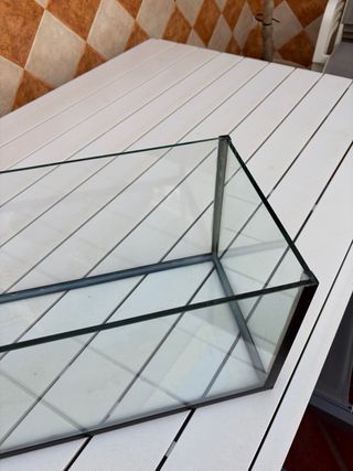 Pecera de cristal rectangular