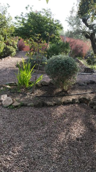 Jardinero Jardinería Mantenimiento Poda Jardín