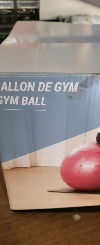 Palla Ginnastica Rosa Nuova