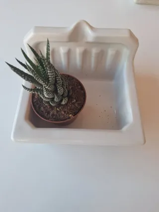 Accesorios Baño Cerámica Blancos