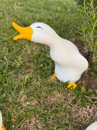 Figuras pato  jardin