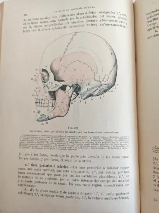 Atlas de anatomia