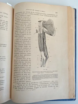 Atlas de anatomia