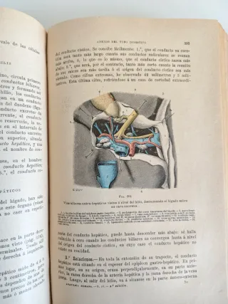 Atlas de anatomia