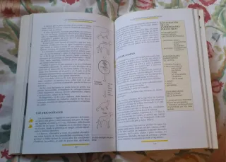 El Libro Del Veterinario en Casa