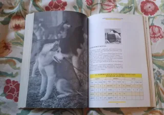 El Libro Del Veterinario en Casa