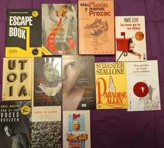 Lote de libros