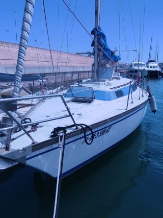 Velero Dufour 31