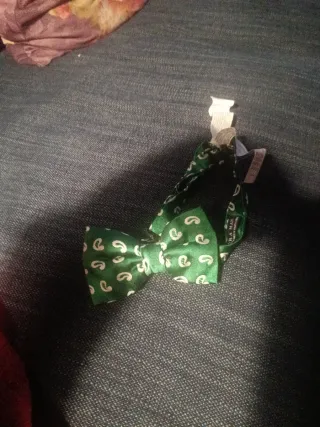 Pajarita de seda verde con paramecios blancos