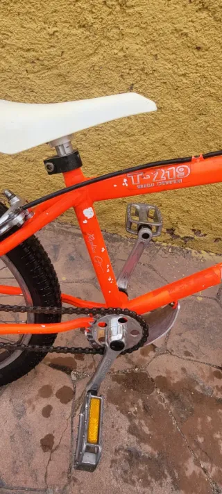 Bicicleta Monty T219 World Champion Réplica Ot Pi