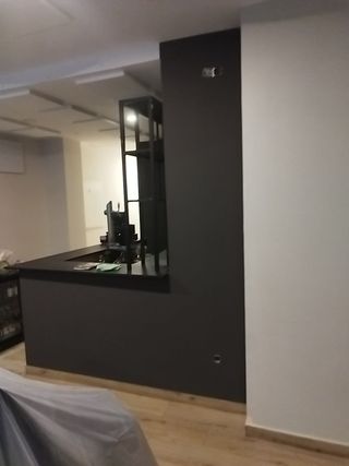 Manitas y Pintor a Domicilio Soluciones Práctica